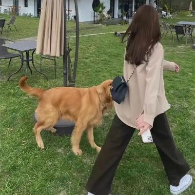 不羁的心